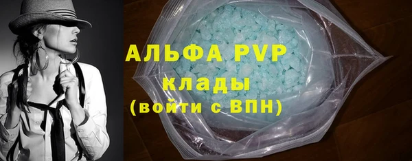 эйфоретик Баксан