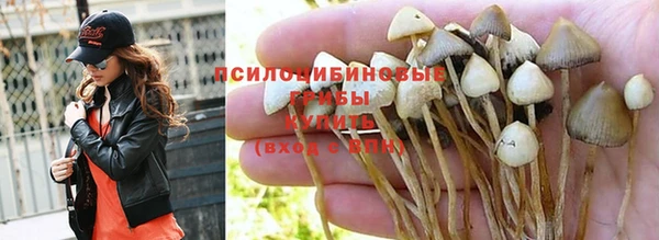 дживик Балабаново